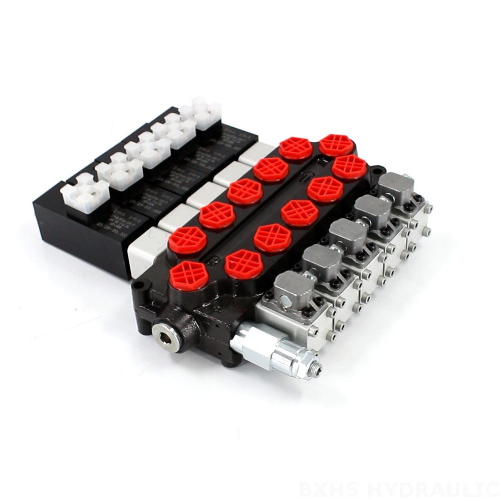 Q45 Series 5 Spool Monoblock Hydraulic Directional Valve image